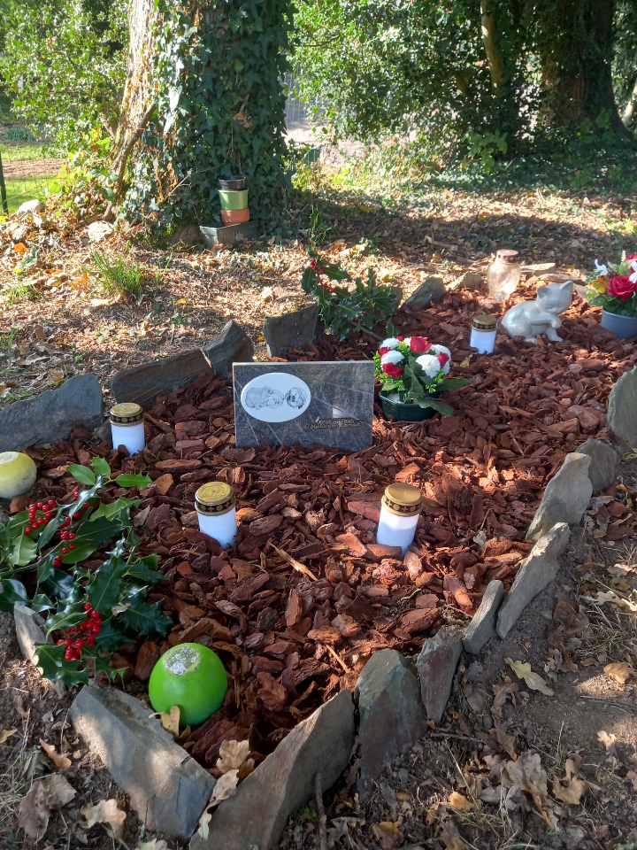 Hommage aux animaux défunts