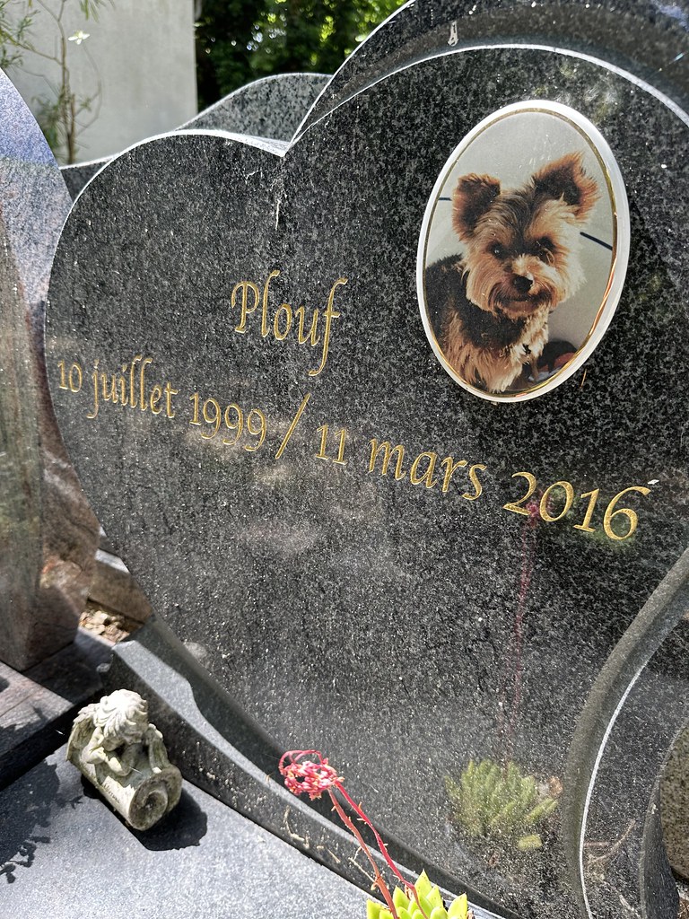 Recueillement auprès d'animaux défunts