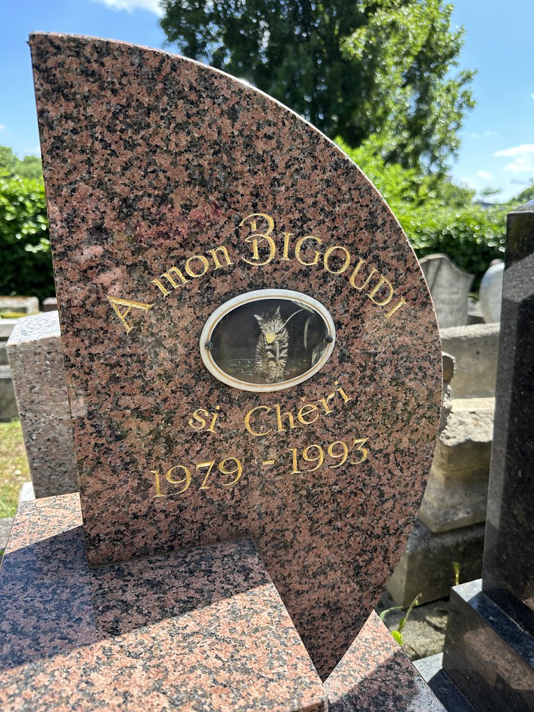 Stèles et hommages dans un cimetière animalier