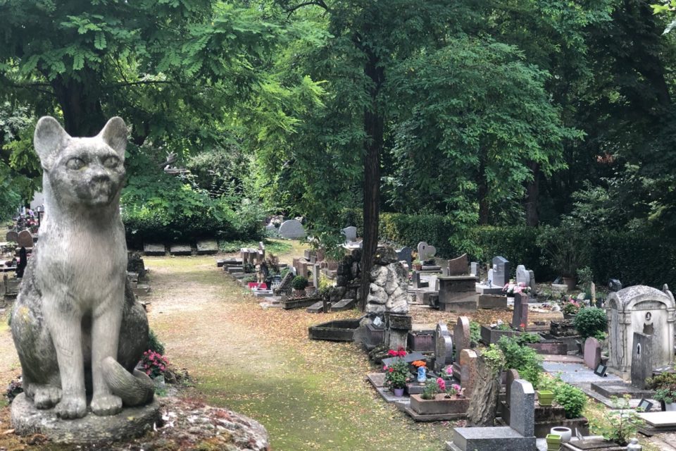 Caveaux et concessions animales