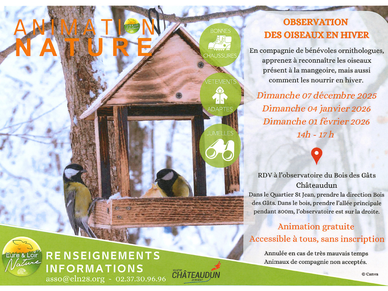 Observation des oiseaux en hiver