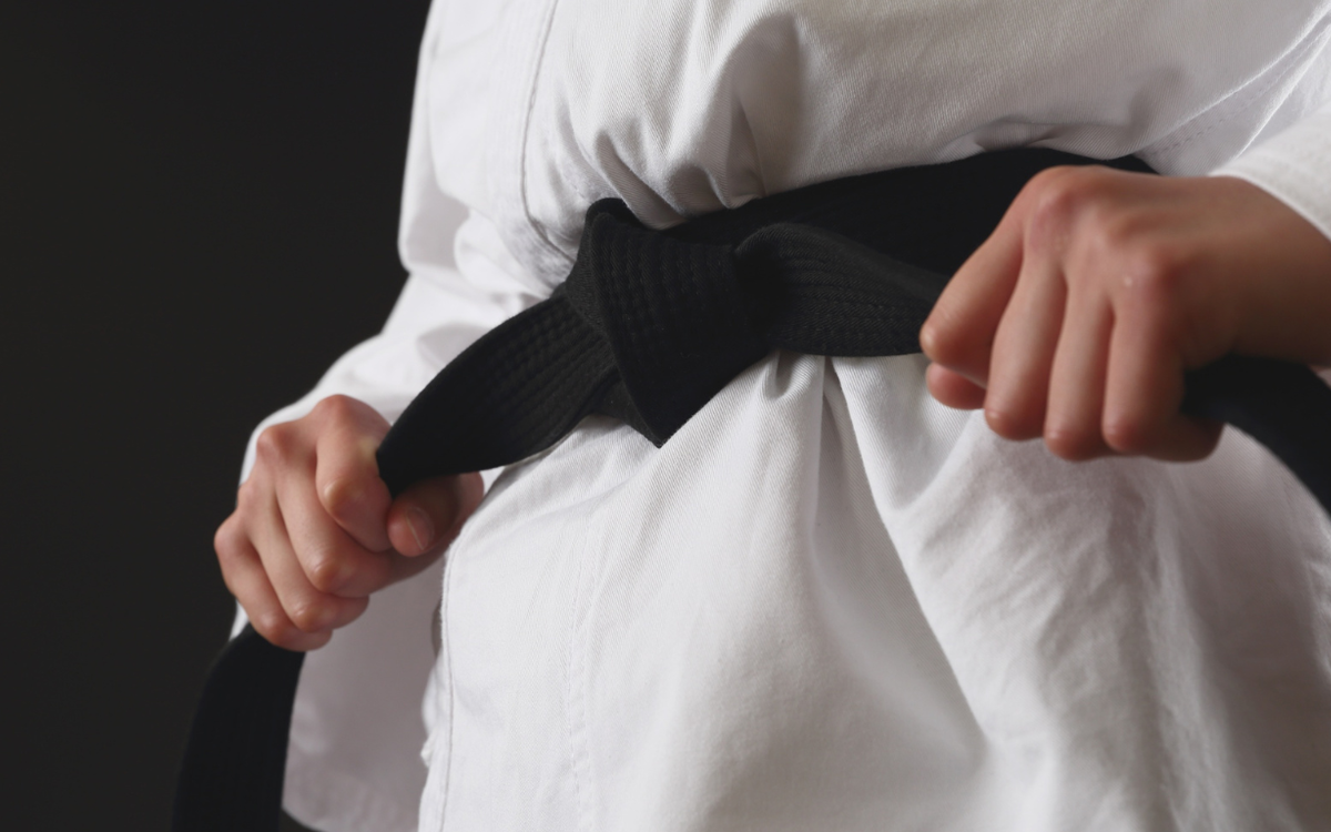 Portes ouvertes école d'arts martiaux Ecole Dansomania Paris