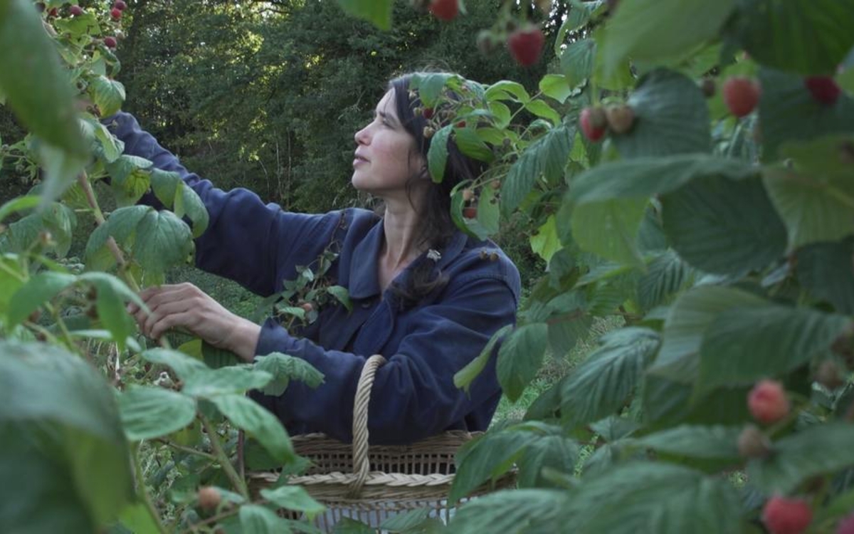 Projection du film documentaire "La Terre du milieu" Médiathèque Violette Leduc Paris