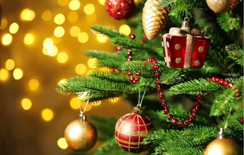 Quinzaine commerciale de Noël photos avec le Père Noël