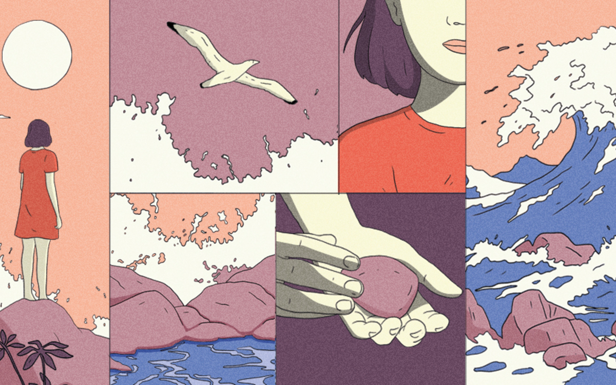 Regards comparés : environnements