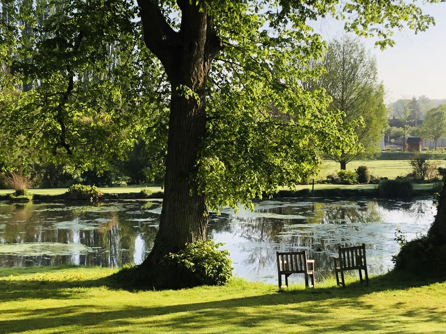Rendez-vous aux jardins du Plessis-Sasnières