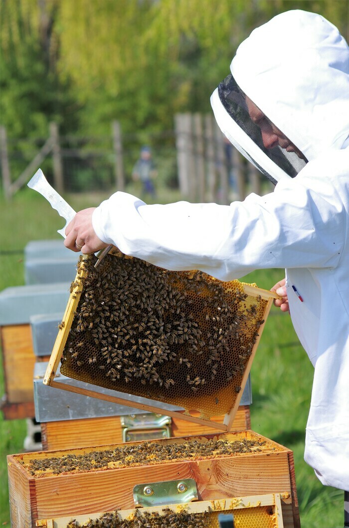 Rucher des Quatre Vents 114 rue des Plains 45110 St Martin d'Abbat Saint-Martin-d'Abbat