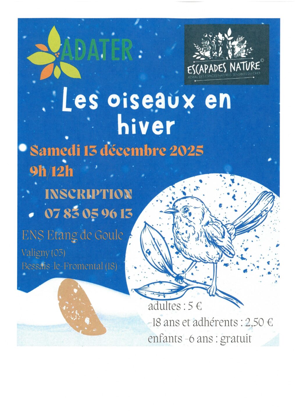 Sortie Nature Les oiseaux en hiver