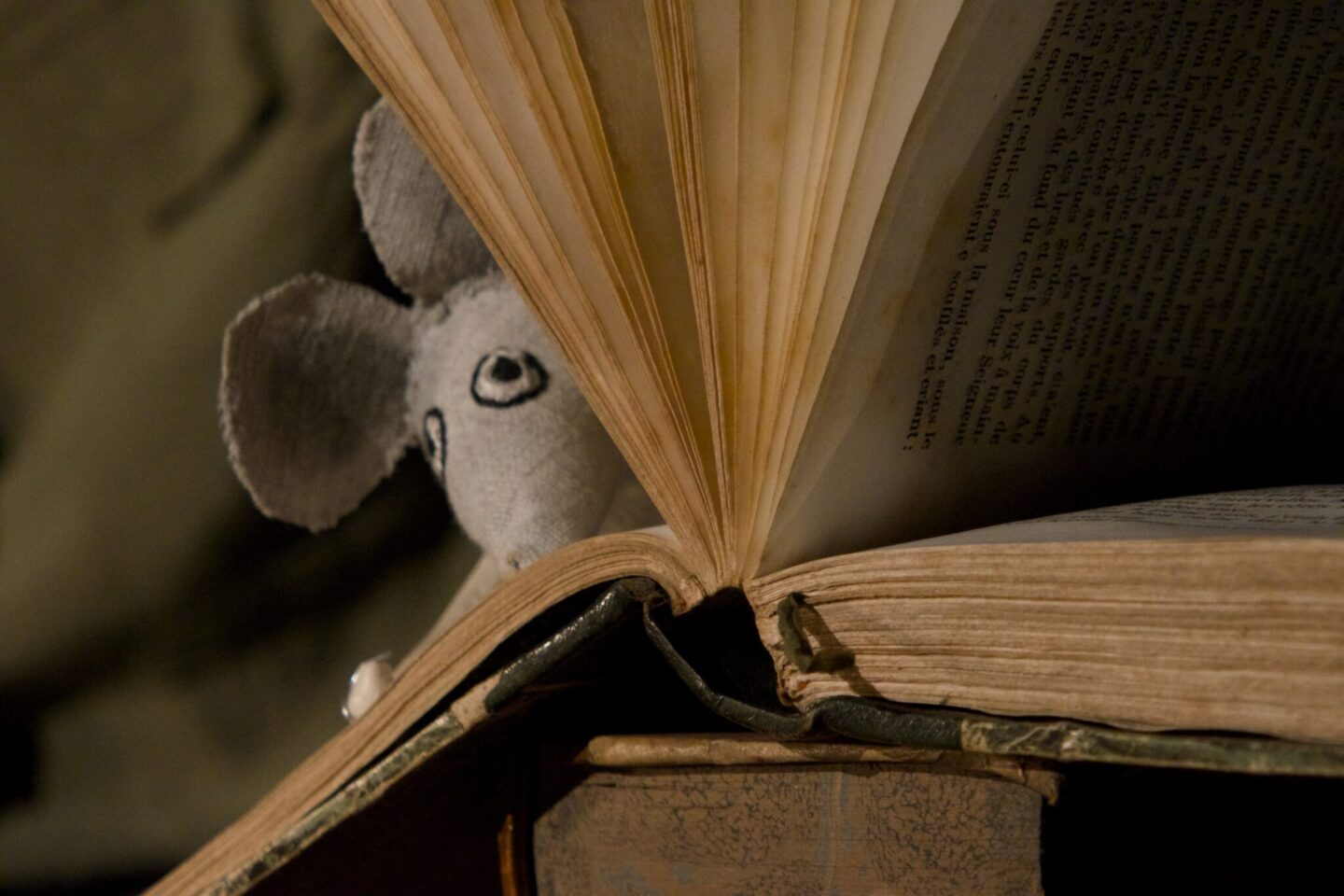 Spectacle Ata les voyages infinis