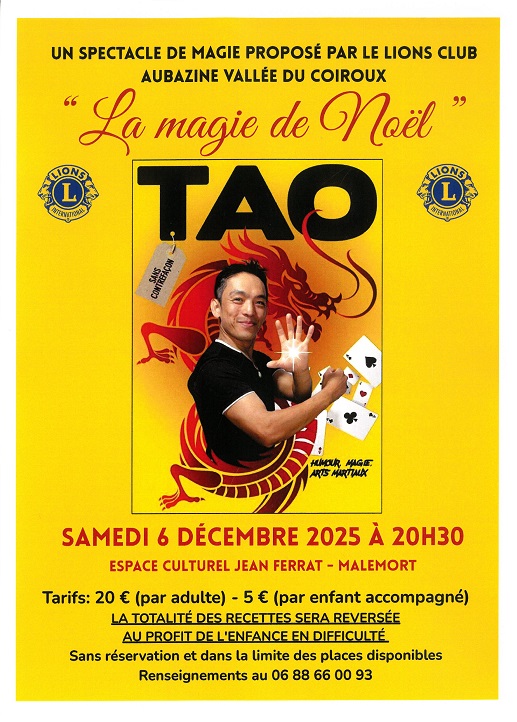 Spectacle de TAO La magie de Noël