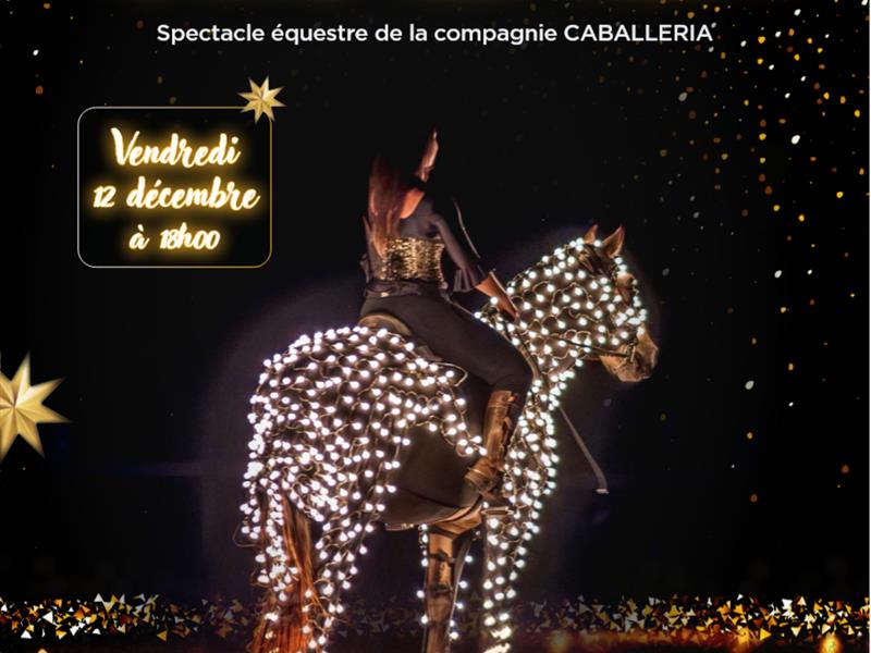 Spectacle équestre A la recherche de l’étoile des voeux Musée Départemental du Sel Marsal 2025-12-12 Spectacle équestre A la recherche de l'étoile des voeux