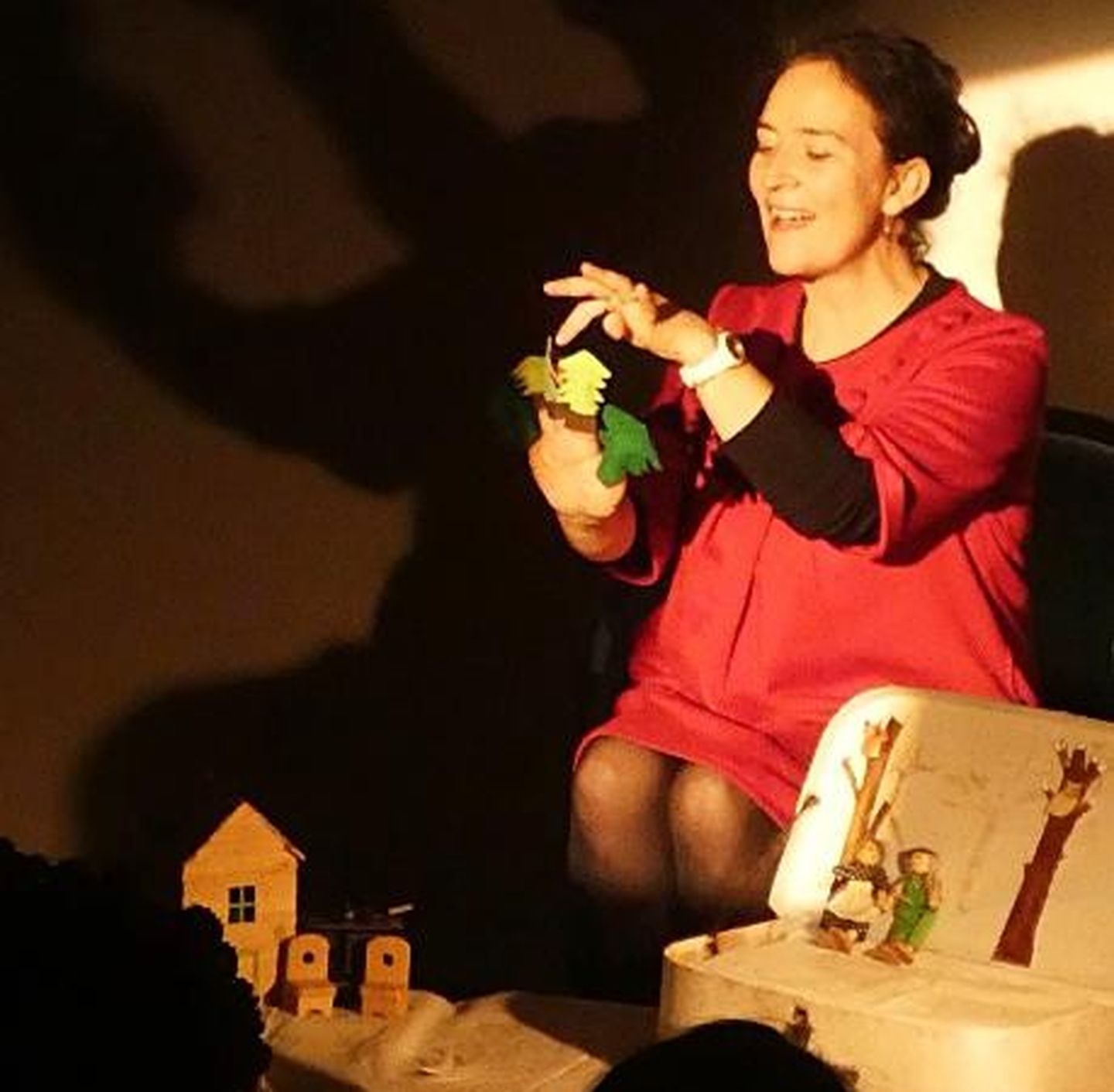 Spectacle Flocon sur la fenêtre