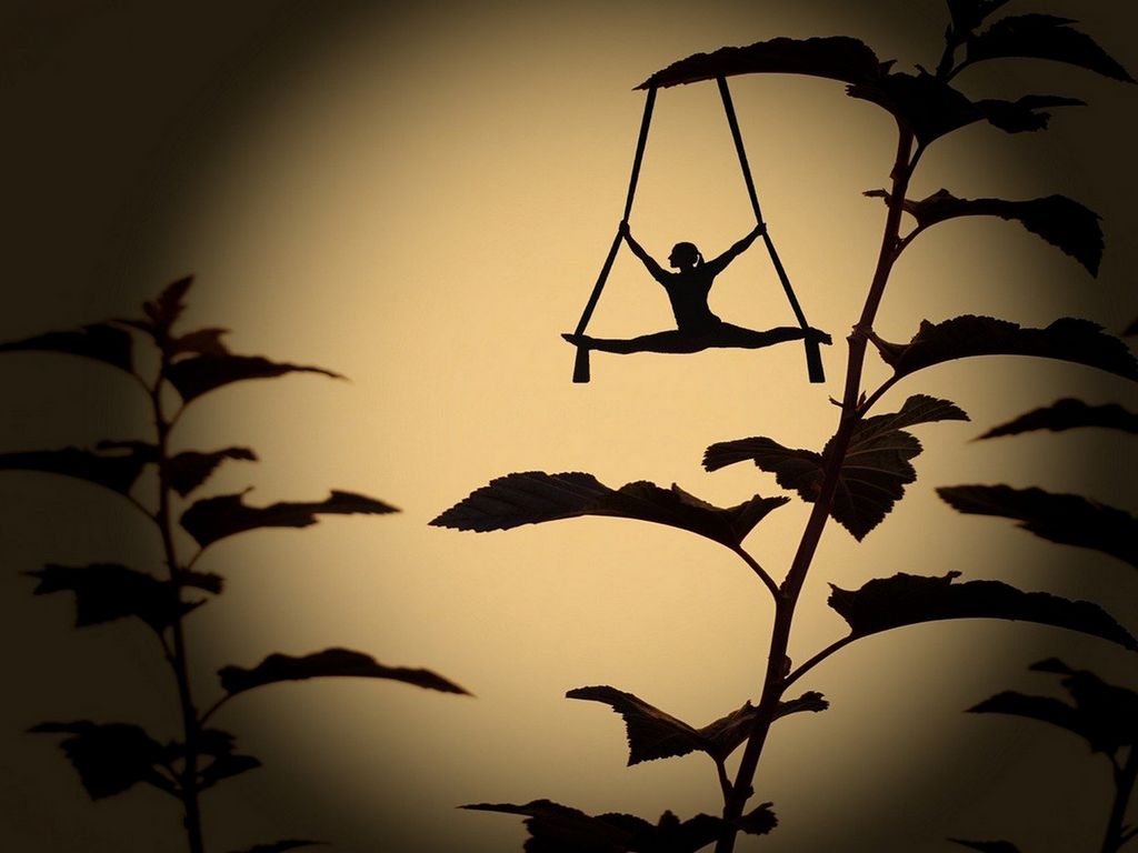 Théâtre d'ombres Le Rouge-gorge