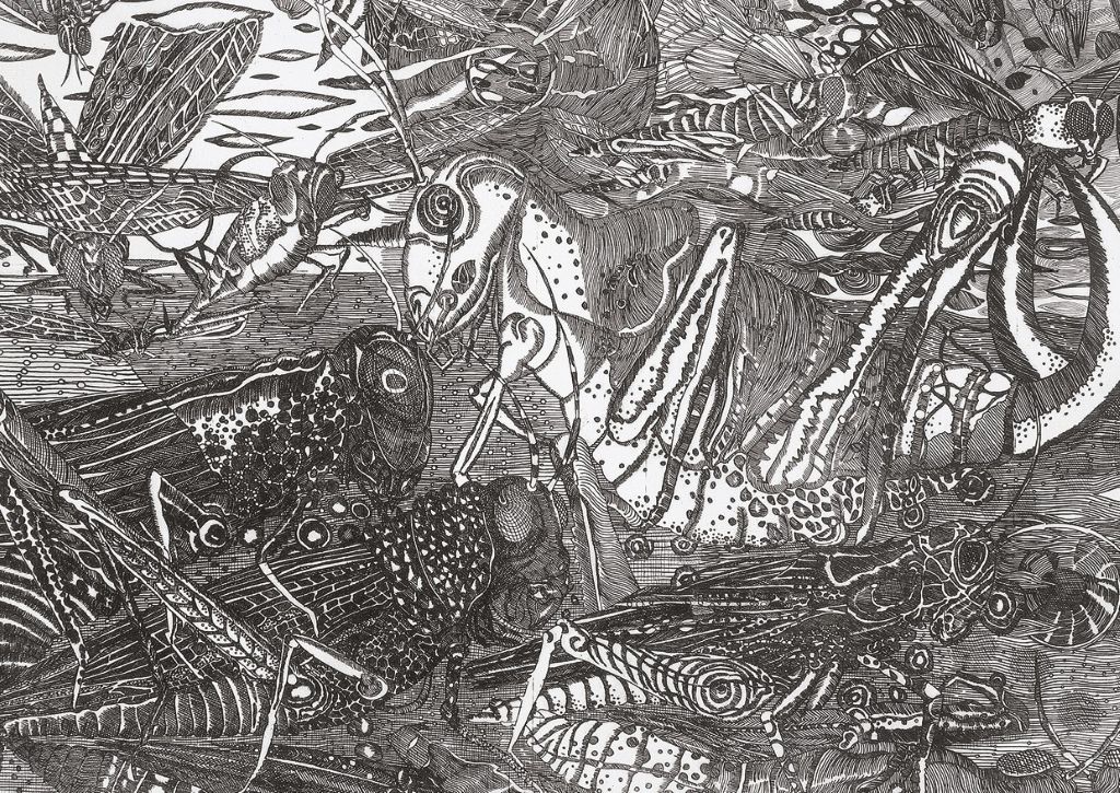 TRENTE ANS DE GRAVURES