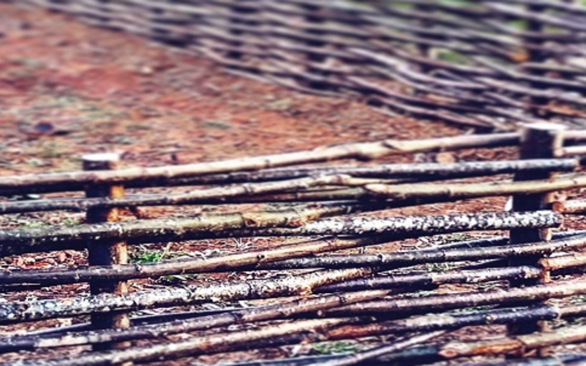 Tressage d'osier au potager pédagogique de Bercy. Maison du Jardinage - Pôle ressource Jardinage Urbain Paris 12ème