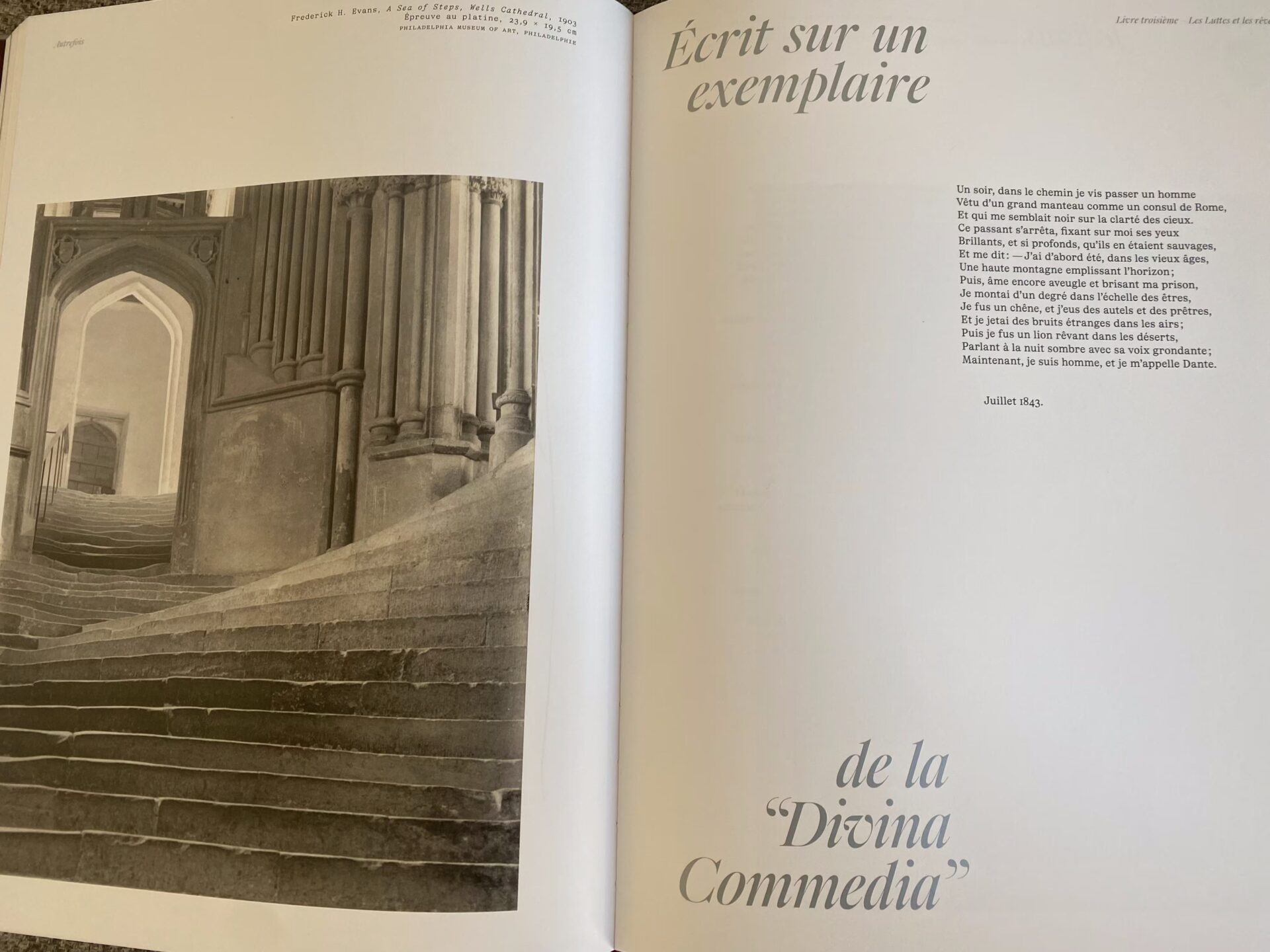 victor hugo contemplations diane selliers