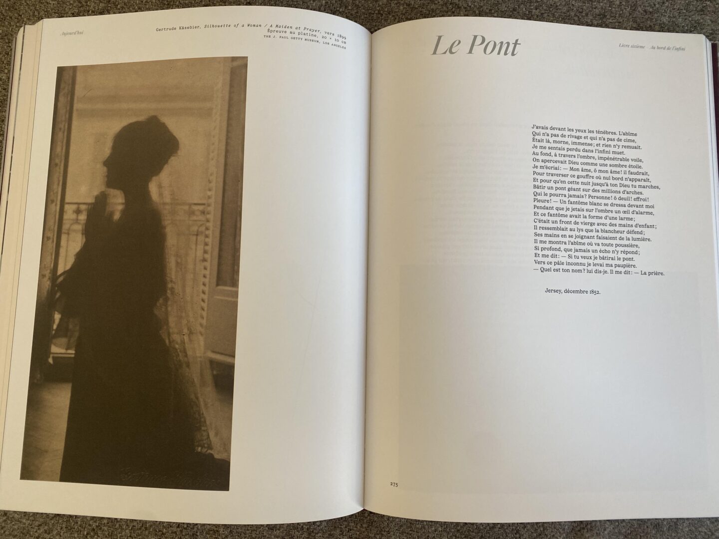 victor hugo contemplations diane selliers