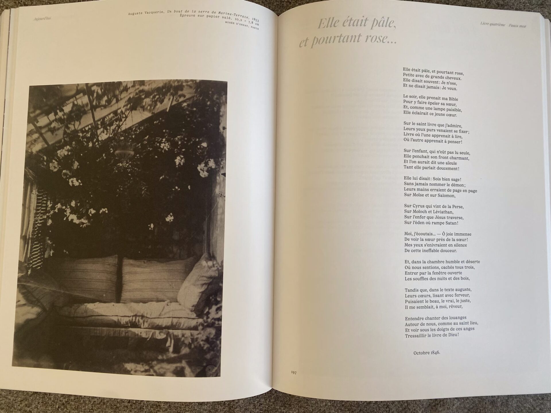 victor hugo contemplations diane selliers