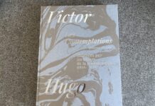 victor hugo contemplations diane selliers