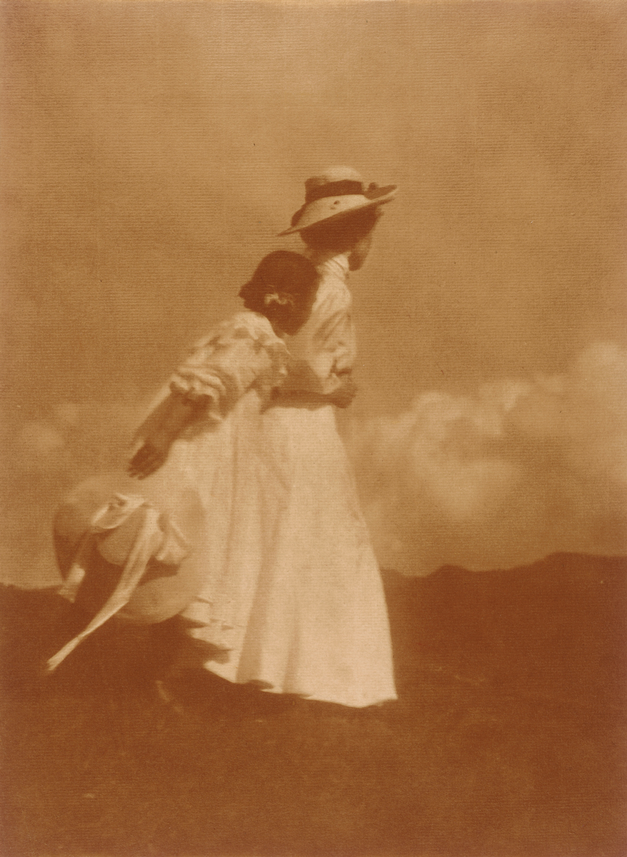 victor hugo contemplations diane selliers