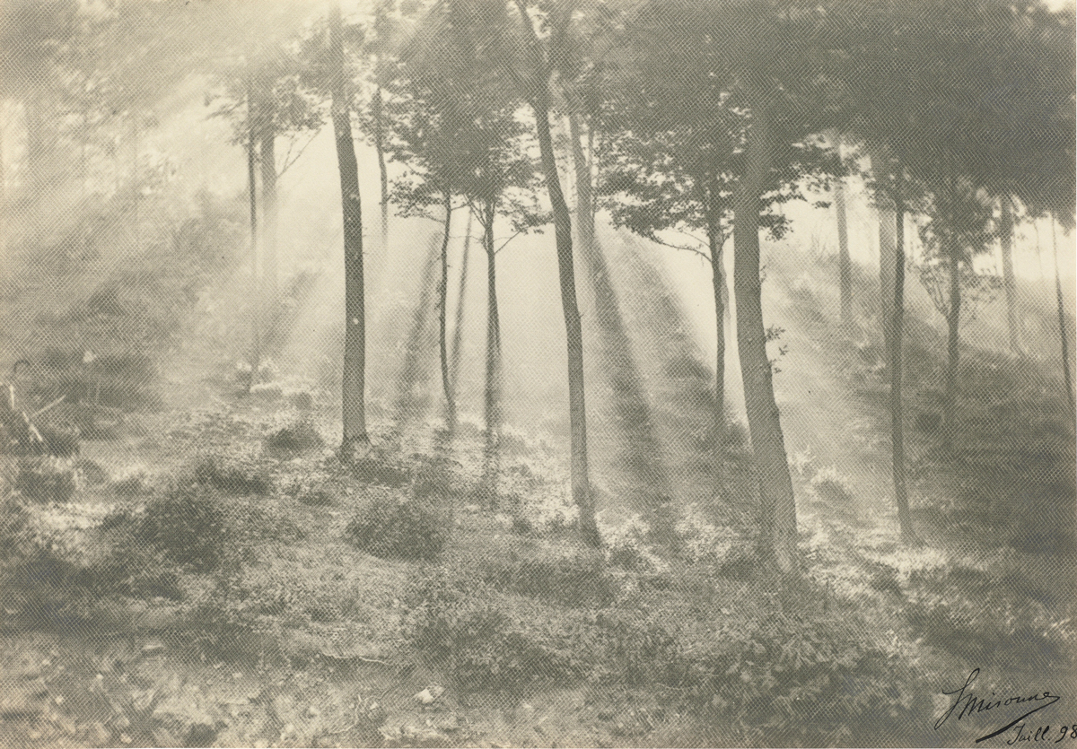 victor hugo contemplations diane selliers