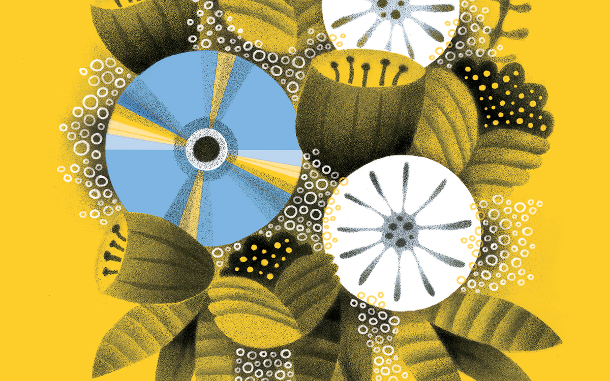 Vidéoclub de REV' Forum des Images Paris