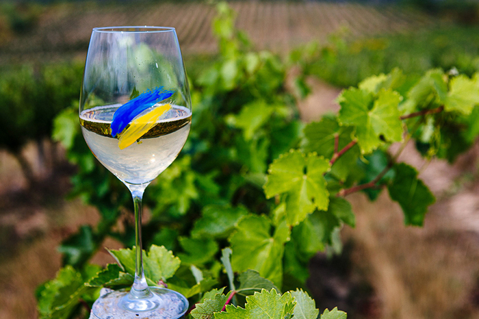 Vins d’Ukraine La Cité du Vin Bordeaux