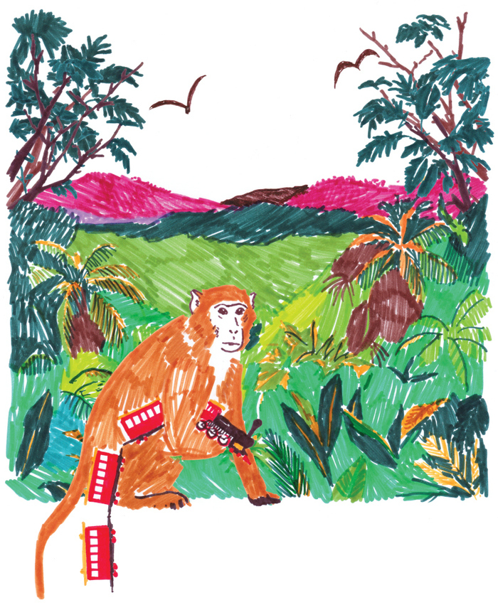 VIP Festival d'Hiver du Breil > "Femmes plurielles inspirantes" Restaurant Intergénérationnel Malville