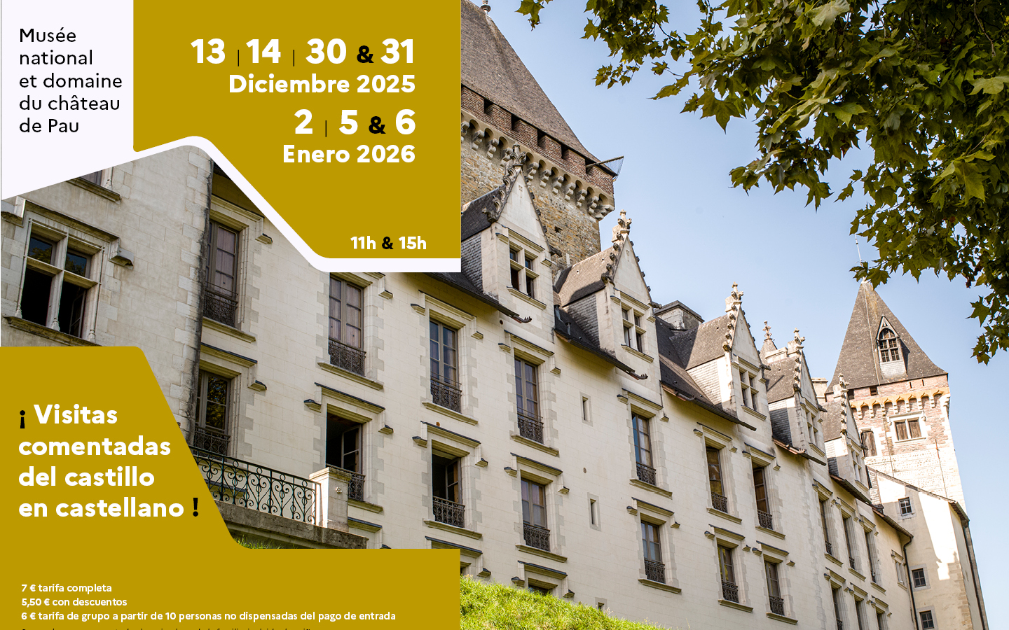 Visita del castillo en castellano