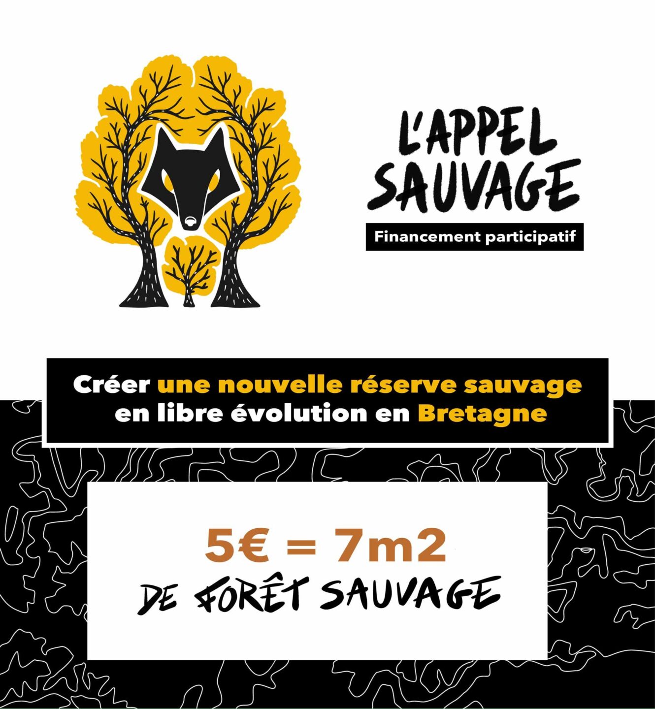 bretagne wild sauvage