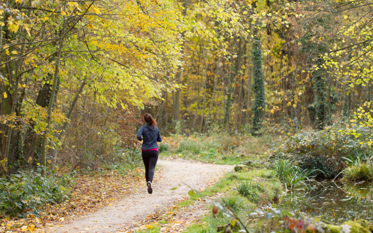 10 k du Bois de Boulogne Bois de Boulogne  PARIS