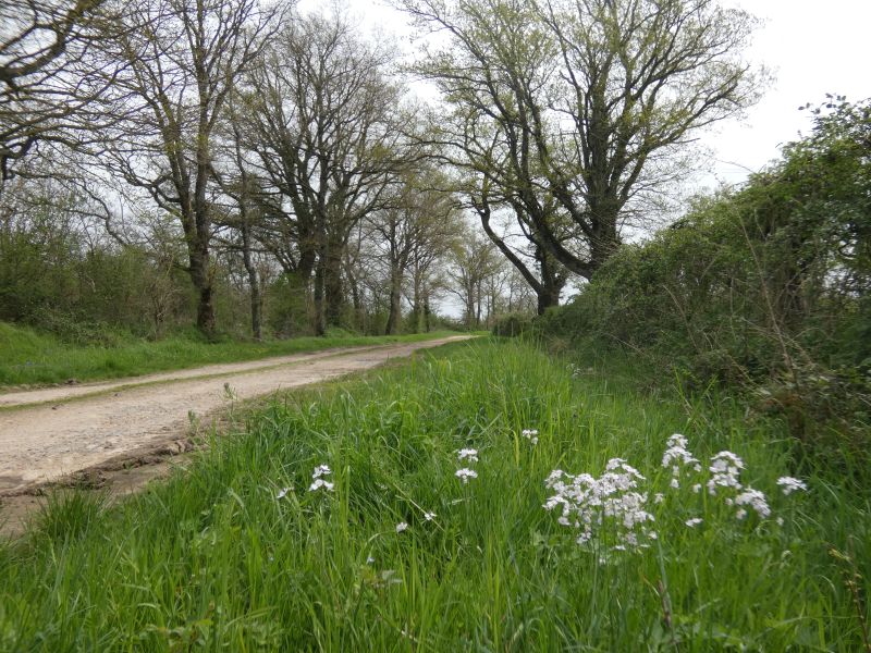 23 Boucle des Chaumes Marçais Marçais Centre-Val de Loire