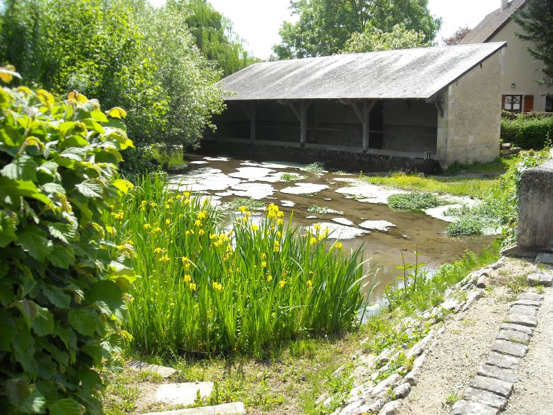 25 Boucle de la brande Meillant Meillant Centre-Val de Loire