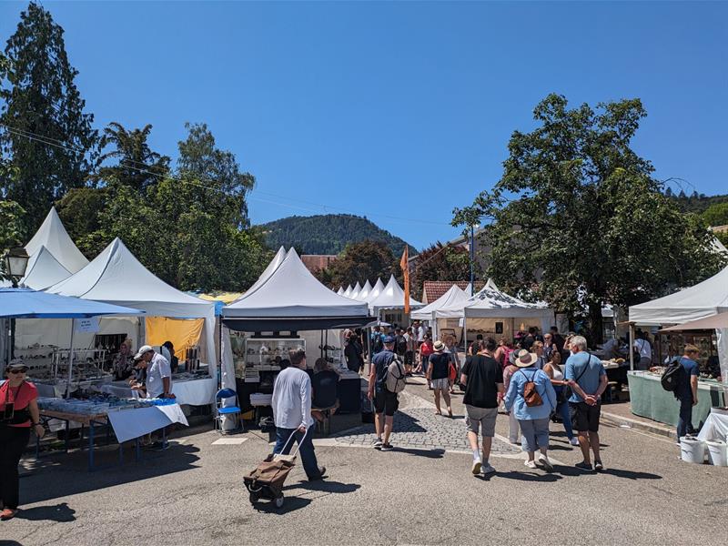 61ème édition Mineral & Gem Nuances de Fer