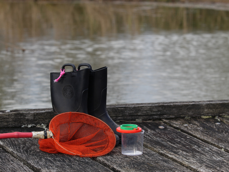 A la découverte de la mare à Terres d'Oiseaux