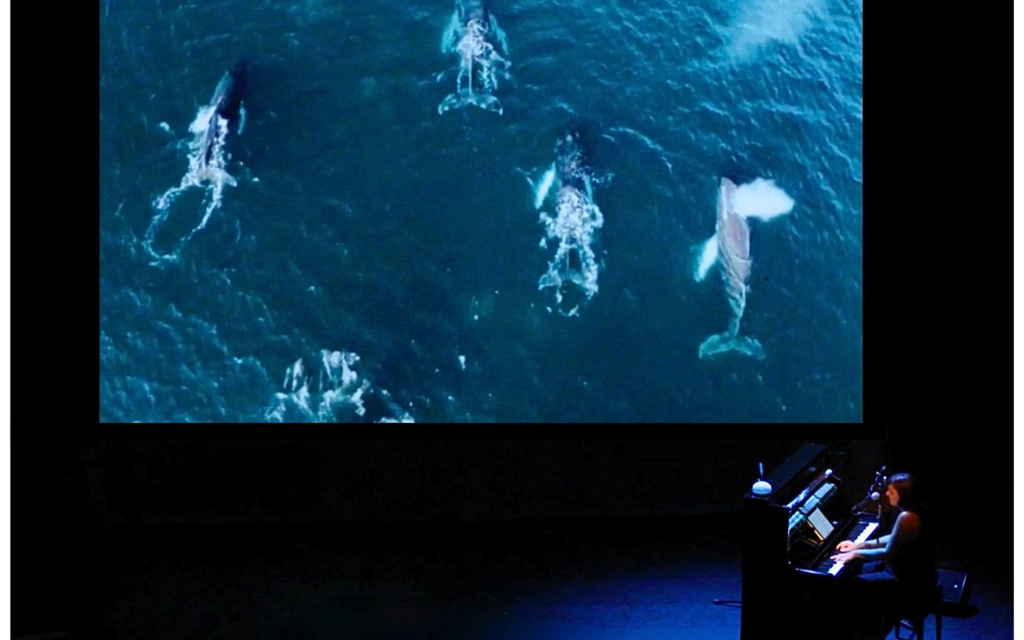 Alexandra Hernandez Inouï Océan