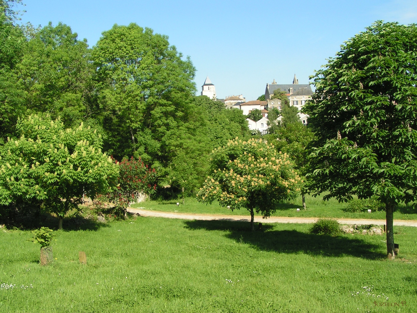Arboretum du chemin de la découverte Melle Nouvelle-Aquitaine