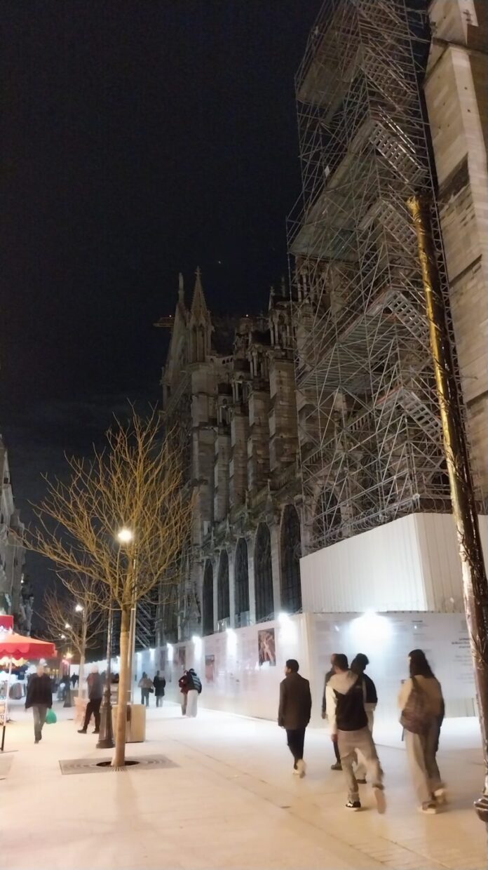 arbres Notre Dame (3) arbres Notre Dame