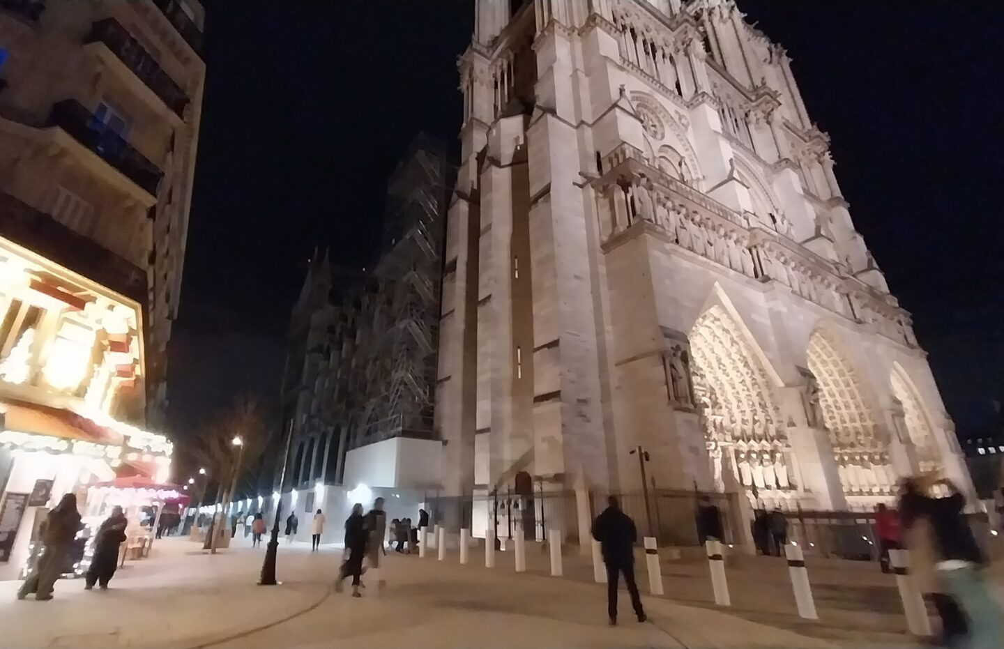 Arbres à Notre-Dame