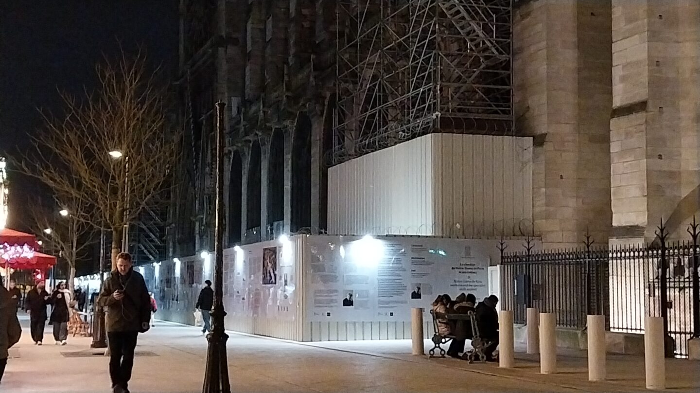 Arbres à Notre-Dame