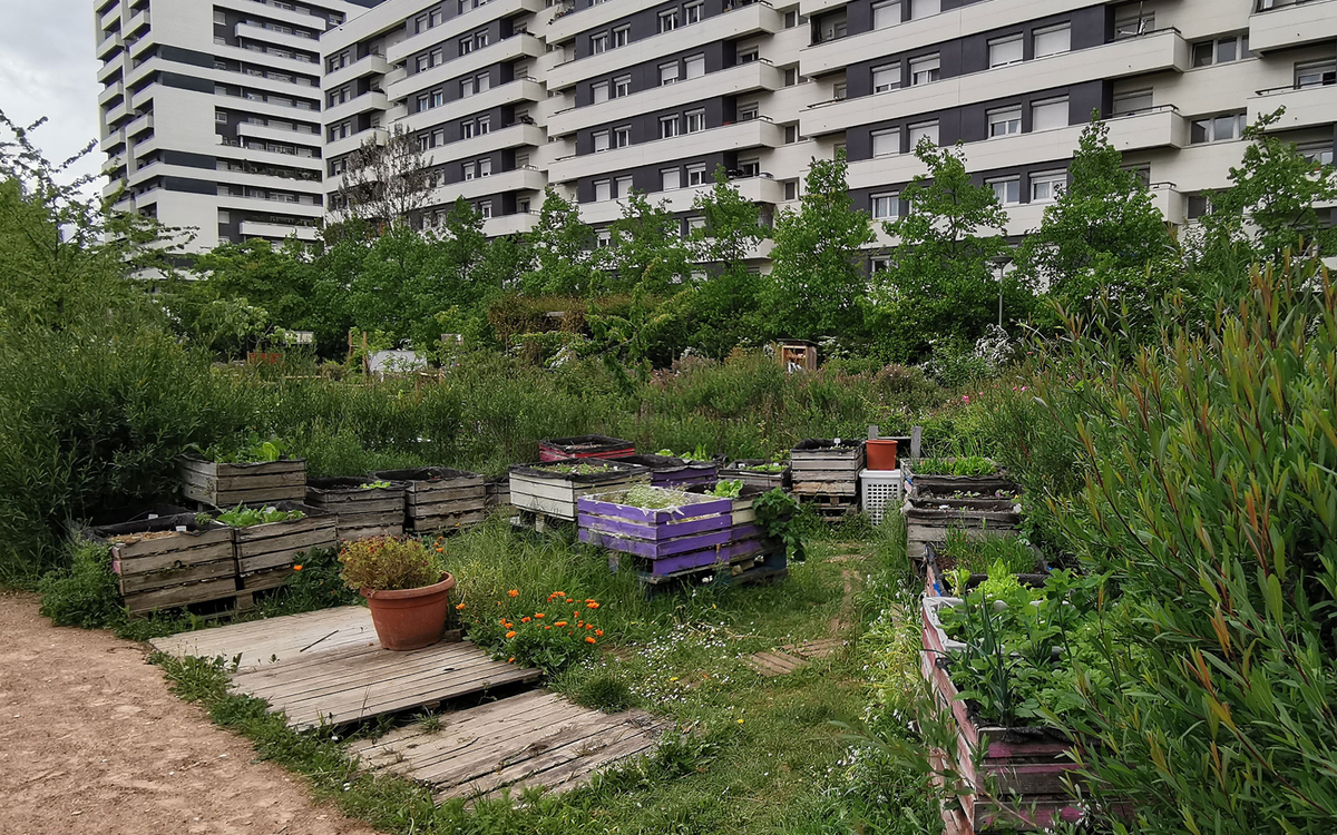 Atelier d'échanges dédié aux adhérents de jardins collectifs. Maison du Jardinage - Pôle ressource Jardinage Urbain  Paris 12ème