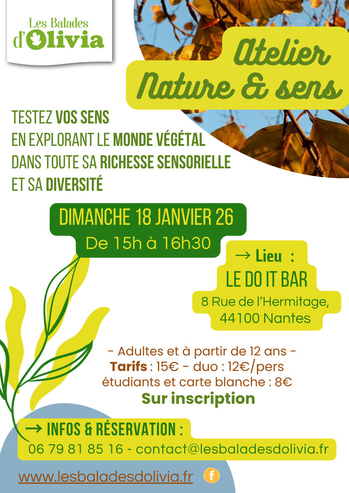 Atelier "Nature et sens" : La richesse du monde végétal à portée de sens Le Do it bar