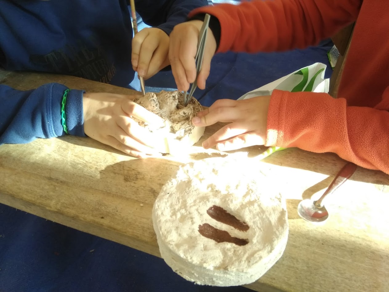 Ateliers matins nature en famille Découvre les traces cachées au Jardin Bourian