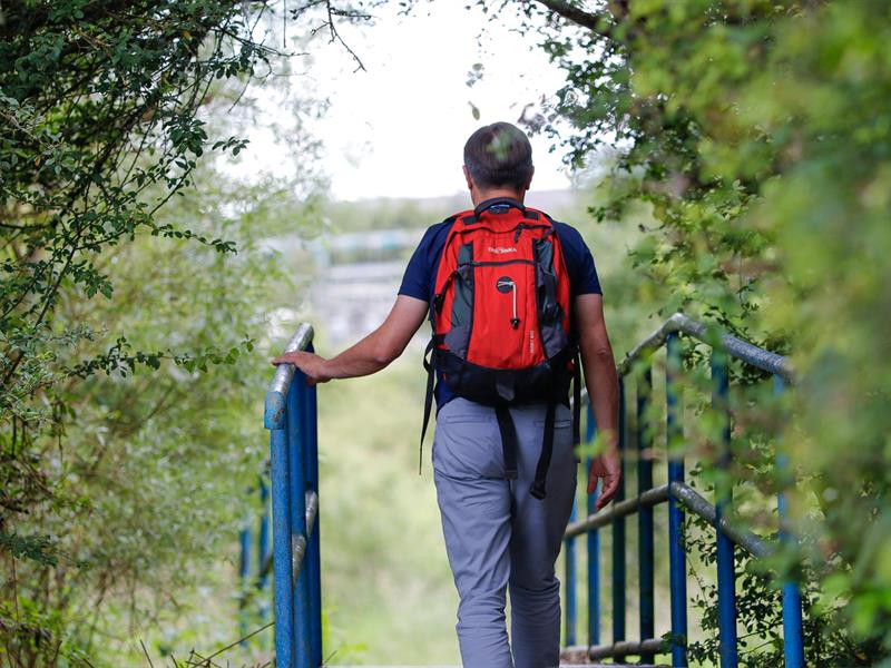 Au fil des Blockhaus Puttelange-aux-Lacs Grand Est