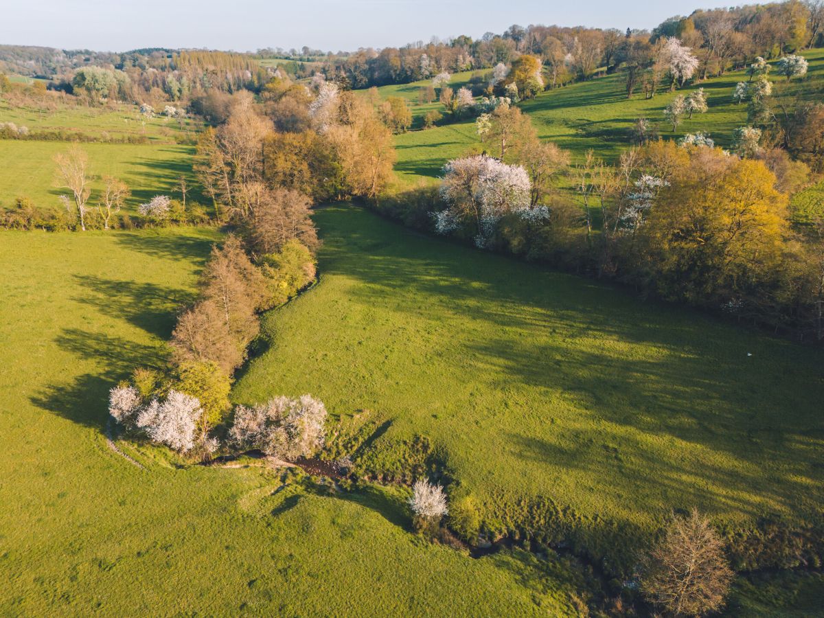Au milieu des haras Victot-Pontfol Normandie