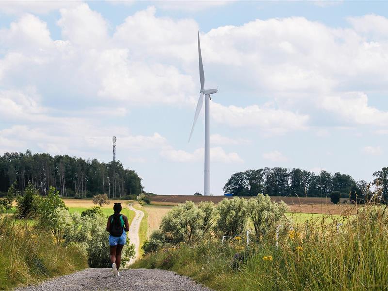 Au pied des Éoliennes Wœlfling-lès-Sarreguemines Grand Est