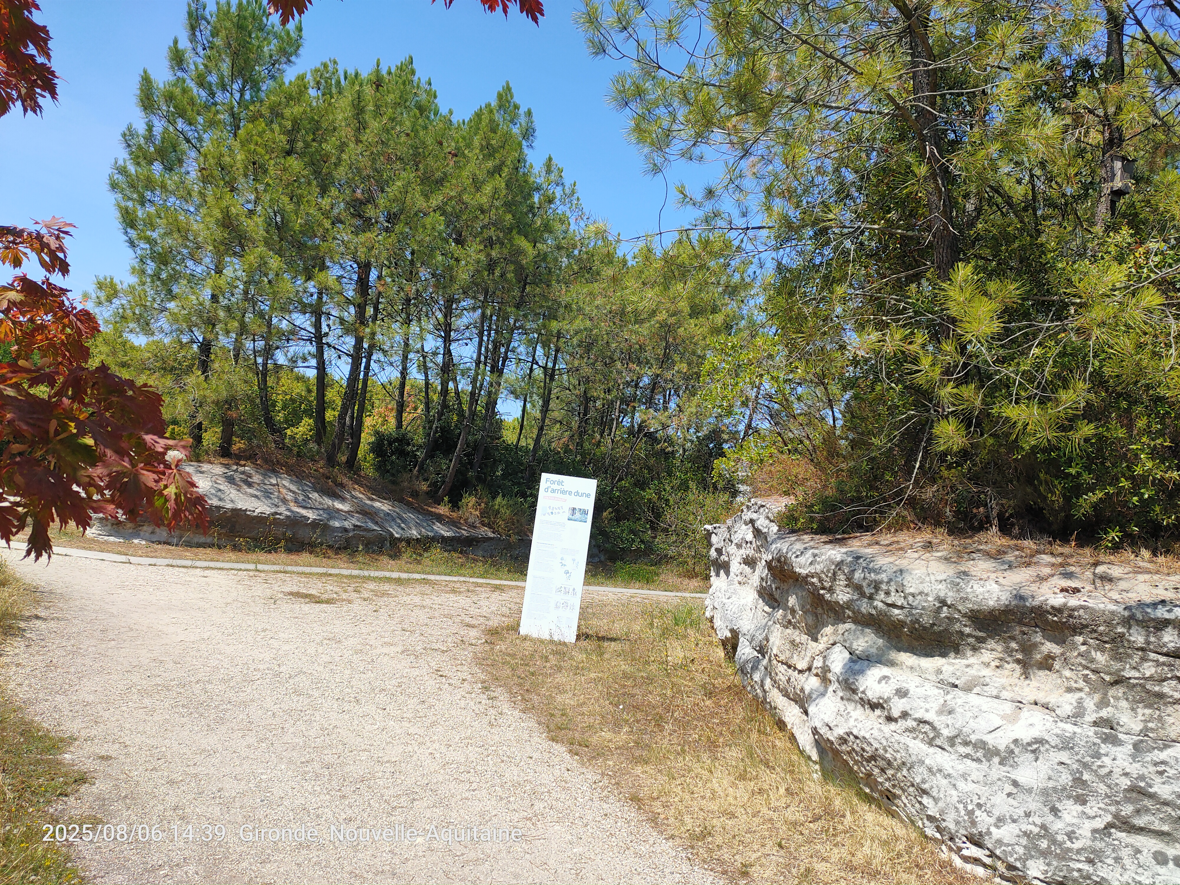 Balade à roulettes Jardin Botanique Bordeaux Bordeaux Nouvelle-Aquitaine