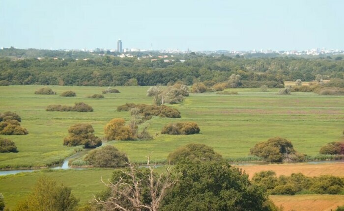 Balade archéologique et environnementale dans le marais de Goulaine Le Chronographe Rezé Balade archéologique et environnementale dans le marais de Goulaine Le Chronographe Rezé