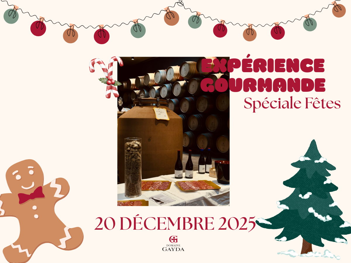 BALADE GOURMANDE SPÉCIALE FÊTES