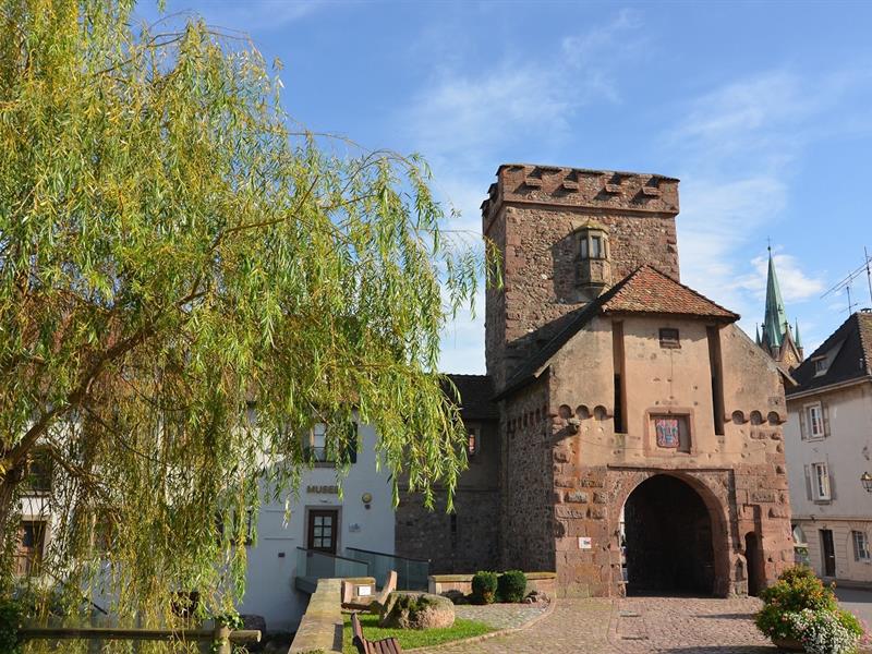 Balade ludique à Cernay